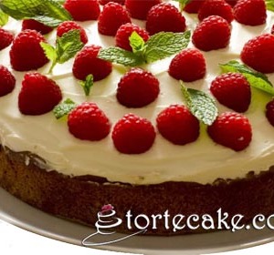 Torta sa kremom od voća